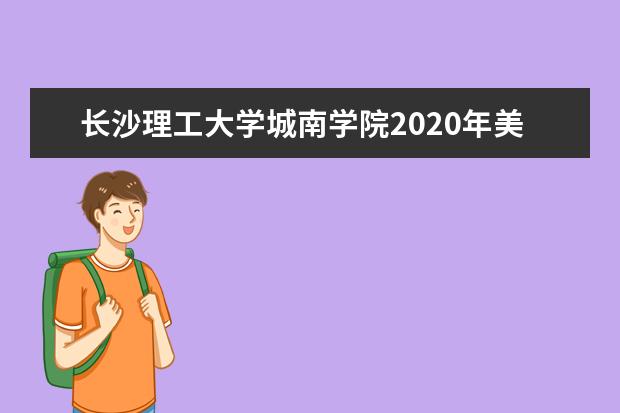 长沙理工大学城南学院2020年美术类本科招生计划