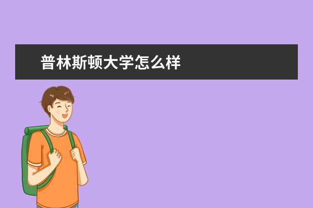 普林斯顿大学怎么样