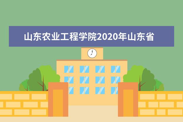 山东农业工程学院2020年山东省美术类专业招生计划