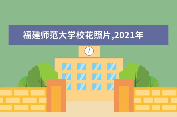 福建师范大学校花照片,2021年福建师范大学校花是谁(多图)