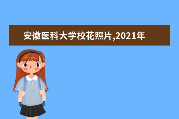 安徽医科大学校花照片,2021年安徽医科大学校花是谁(多图)