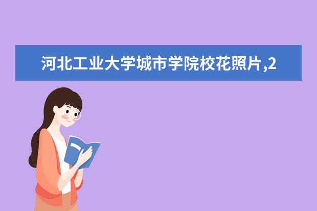 河北工业大学城市学院校花照片,2021年河北工业大学城市学院校花是谁(多图)