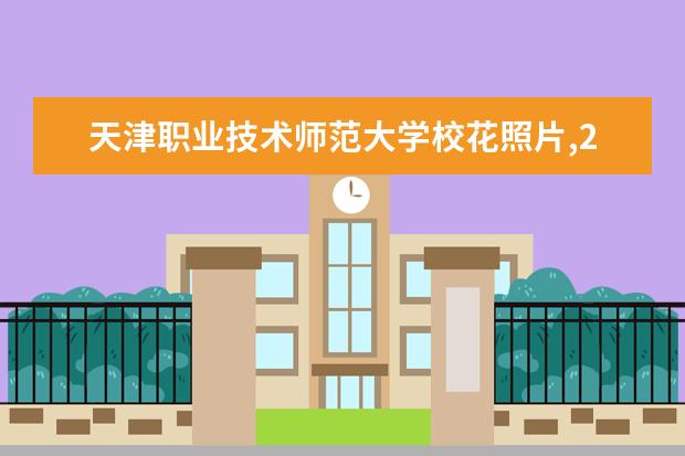 天津职业技术师范大学校花照片,2021年天津职业技术师范大学校花是谁(多图)