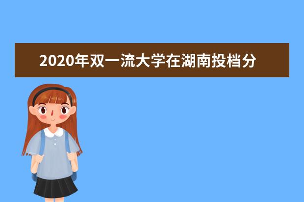 2020年双一流大学在湖南投档分数线及位次