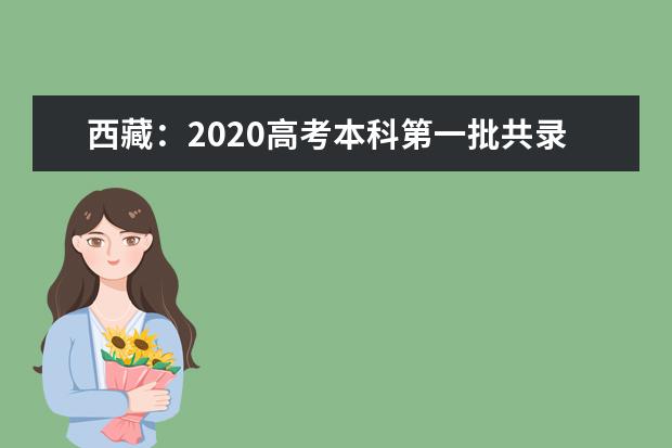 西藏：2020高考本科第一批共录取考生3711人