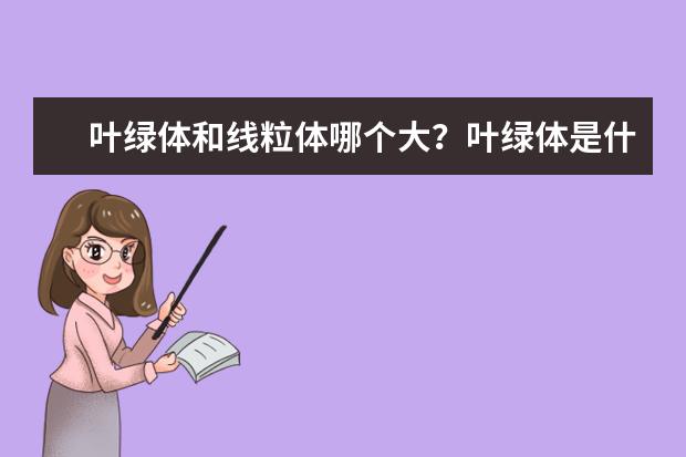 叶绿体和线粒体哪个大？叶绿体是什么主要作用是什么