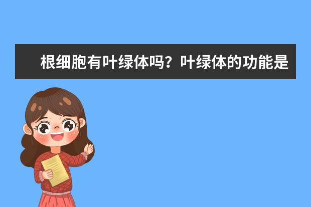 根细胞有叶绿体吗？叶绿体的功能是什么