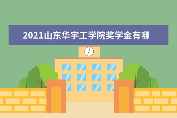 山东华宇工学院奖学金设置标准是什么？奖学金多少钱？