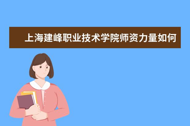 上海建峰职业技术学院师资力量如何 师资水平怎么样