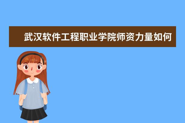 武汉软件工程职业学院师资力量如何 师资水平怎么样