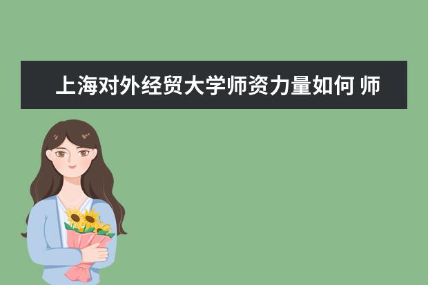 上海对外经贸大学师资力量如何 师资水平怎么样