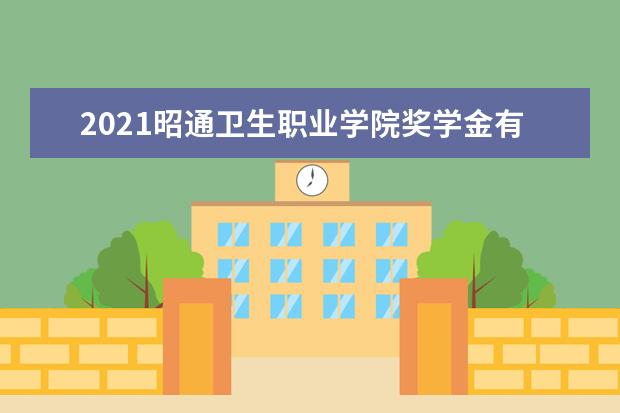 2021昭通卫生职业学院奖学金有哪些 奖学金一般多少钱?