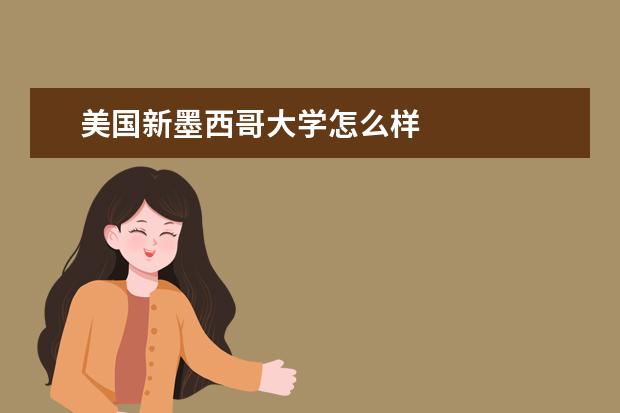 美国新墨西哥大学怎么样