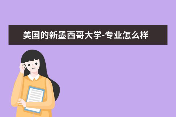 美国的新墨西哥大学-专业怎么样