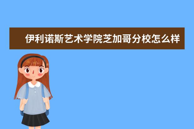 伊利诺斯艺术学院芝加哥分校怎么样 校园生活