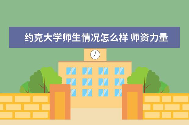 约克大学师生情况怎么样 师资力量如何
