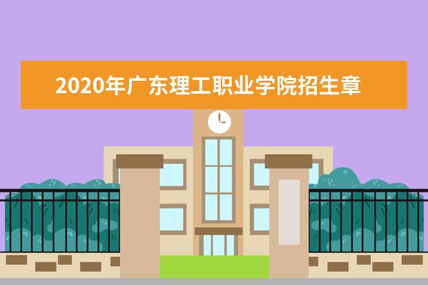 2020年广东理工职业学院招生章程发布