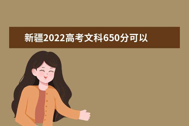 新疆2022高考文科650分可以上什么大学