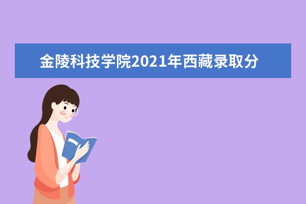 金陵科技学院2021年西藏录取分数线