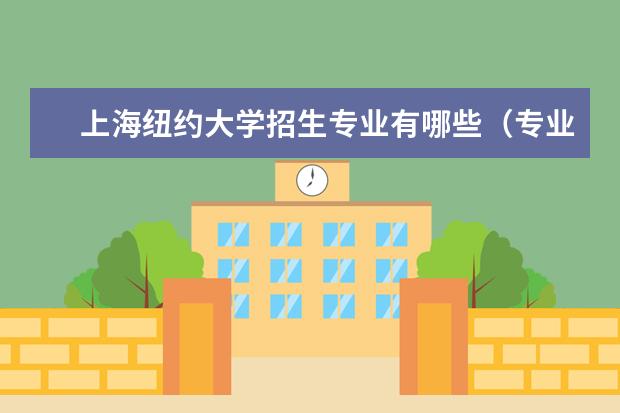 上海纽约大学奖学金设置标准是什么？奖学金多少钱？