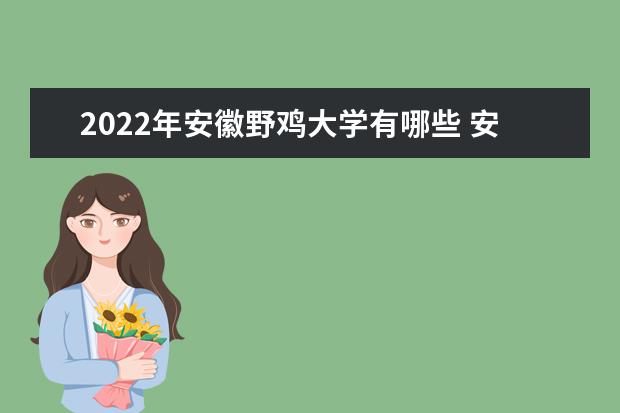 2022年安徽野鸡大学有哪些 安徽野鸡大学名单