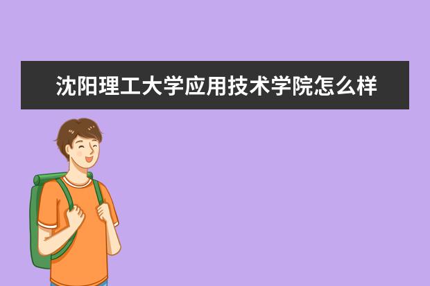 沈阳理工大学奖学金设置标准是什么？奖学金多少钱？