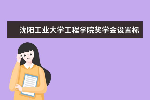 沈阳工业大学工程学院奖学金设置标准是什么？奖学金多少钱？