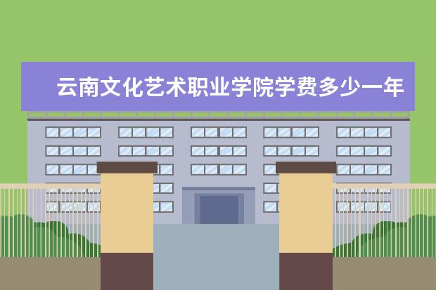 云南文化艺术职业学院学费多少一年 云南文化艺术职业学院收费高吗
