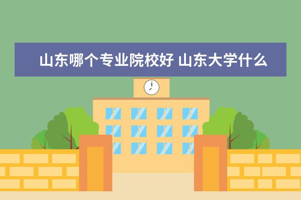 山东哪个专业院校好 山东大学什么专业比较好?最好有排名,谢谢