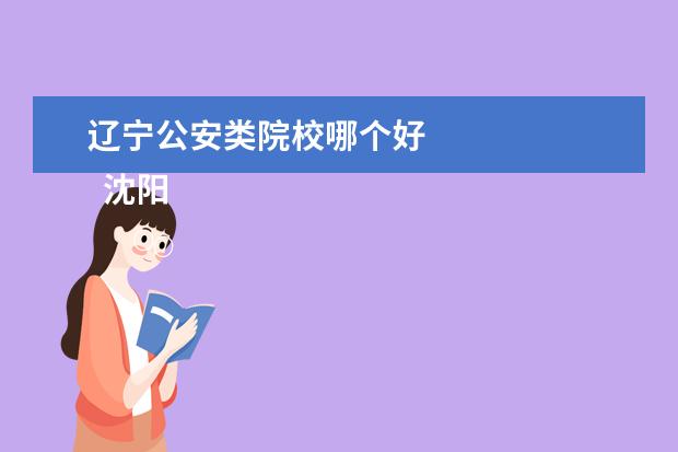 辽宁公安类院校哪个好 
  沈阳市有两所警察学校，分别是：中国刑事警察学院和辽宁公安司法管理干部学院。