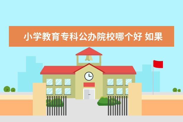 小学教育专科公办院校哪个好 如果是专科生,学小学教育专业,可不可以推荐几个好的...