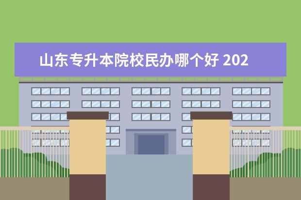 山东专升本院校民办哪个好 2022年山东学前教育专升本民办学校哪个好