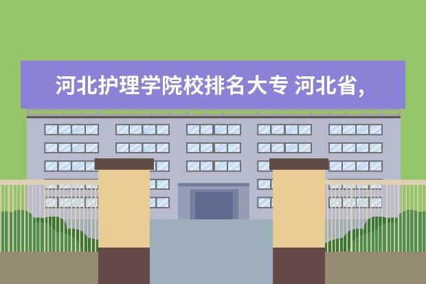 河北护理学院校排名大专 河北省,大专排名
