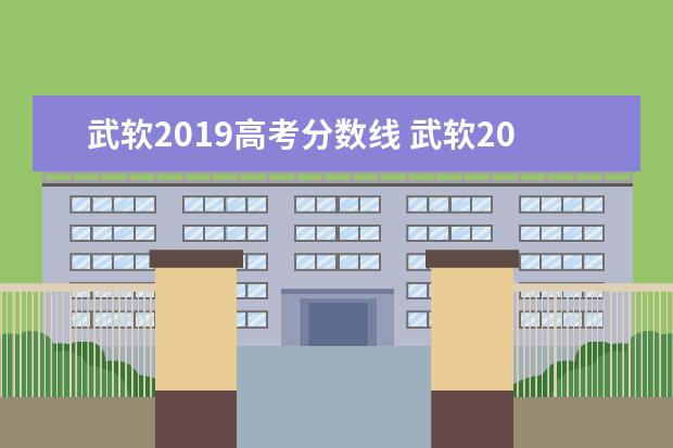 武软2019高考分数线 武软2021技能高考分数线