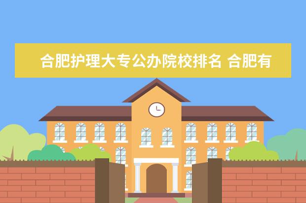 合肥护理大专公办院校排名 合肥有哪些公办大专学校比较好