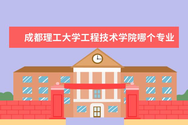 成都理工大学工程技术学院哪个专业最好 2010年成都理工大学工程技术学院专二专业介绍 - 百...