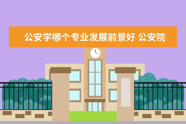公安学哪个专业发展前景好 公安院校最好的专业