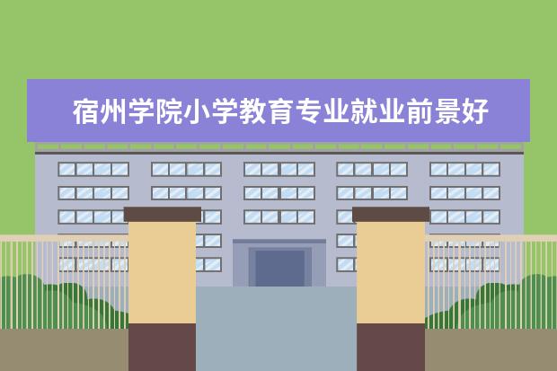 宿州学院小学教育专业就业前景好 宿州学院有哪些专业