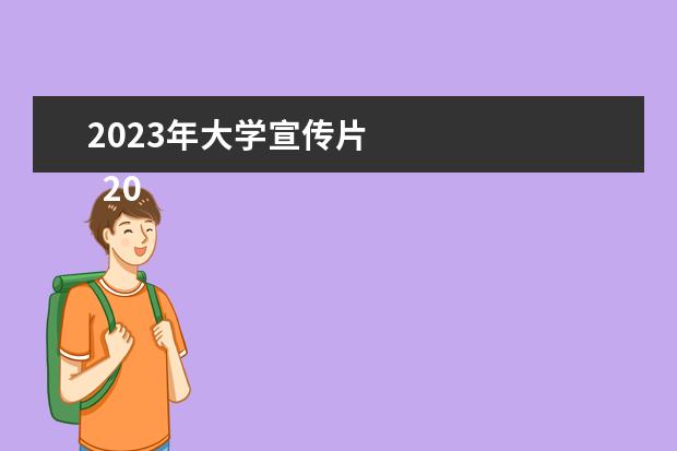 2023年大学宣传片 
  2023年网站我工作计划范文 篇3