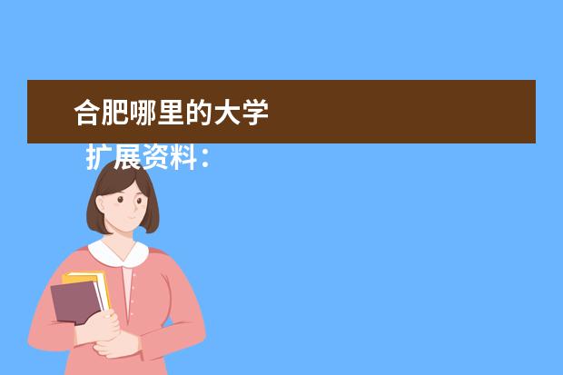合肥哪里的大学 
  扩展资料：