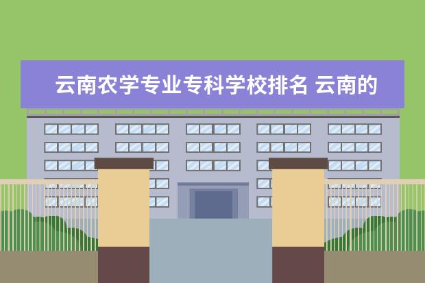 云南农学专业专科学校排名 云南的师范类院校