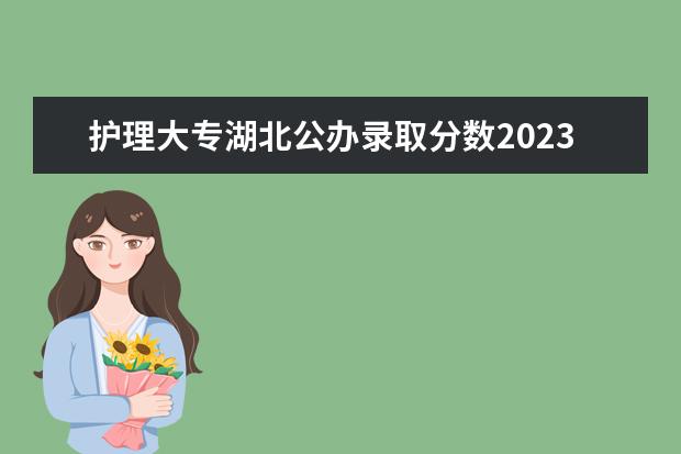 护理大专湖北公办录取分数2023 湖北技能高考2023年各学校的分数线是多少?