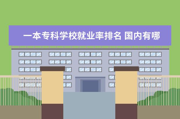 一本专科学校就业率排名 国内有哪些实力不错的三本院校?