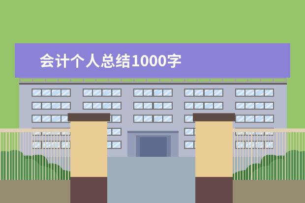 会计个人总结1000字