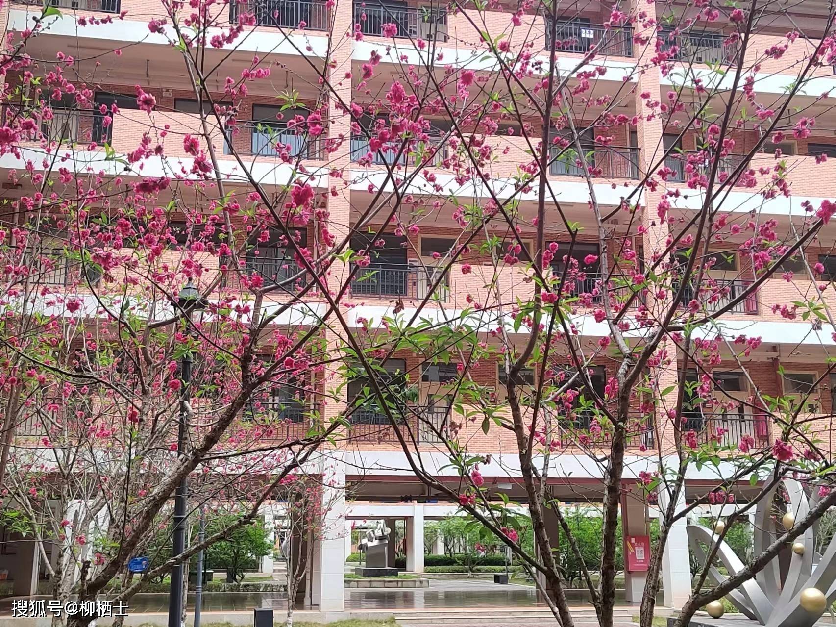【高考备考】每天5道题，考试不丢分——理解性默写天天练 · 第201——311题
