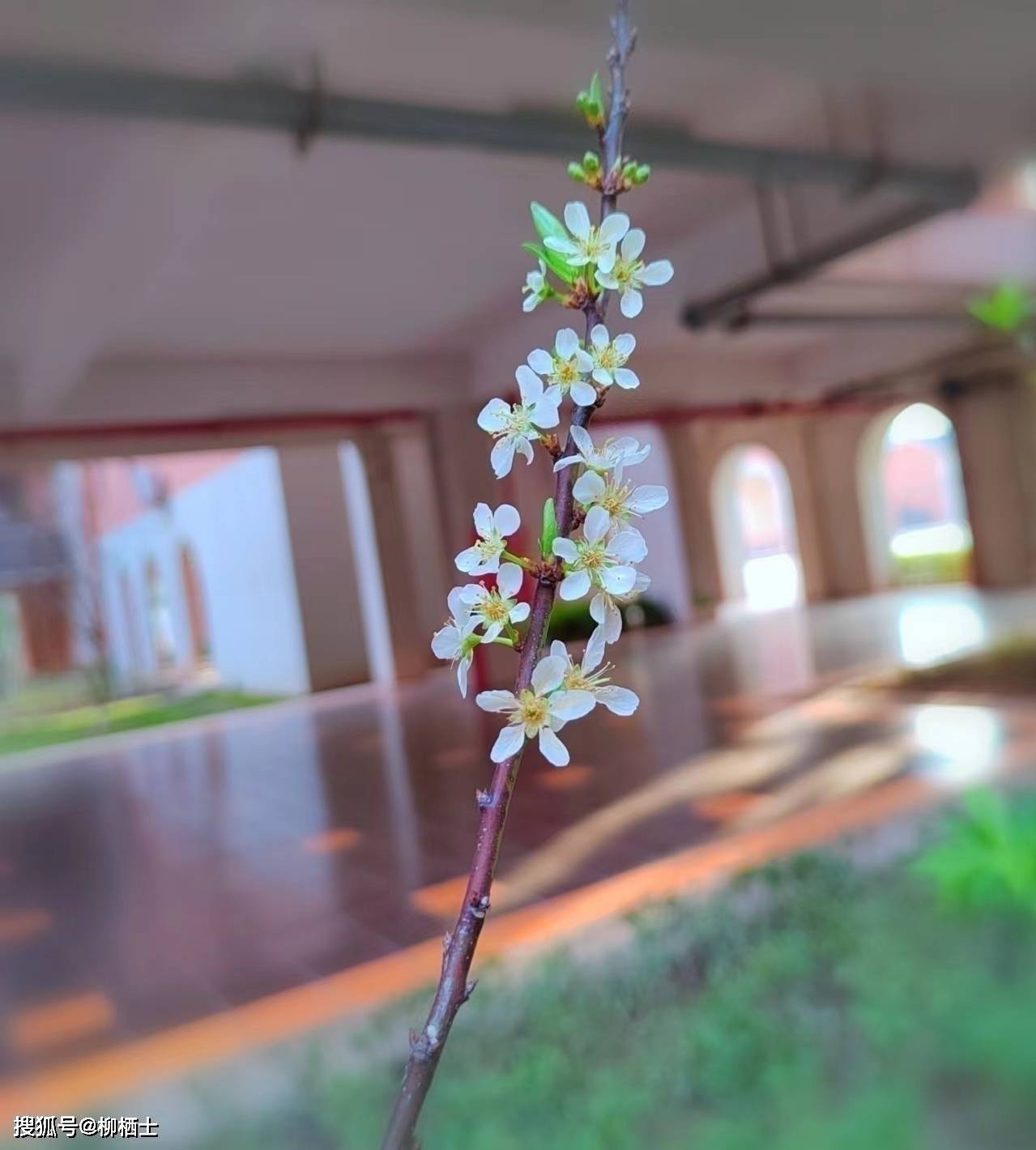 【高考备考】每天5道题，考试不丢分——理解性默写天天练 · 第201——311题