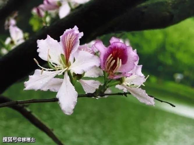 【高考备考】每天5道题，考试不丢分——理解性默写天天练 · 第201——311题